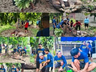 Pemdes Wonggeduku Gelar Penyembelihan Hewan Kurban, Kades Syawal Maid: Tradisi Kebersamaan Ini Sudah Berjalan Bertahun-Tahun